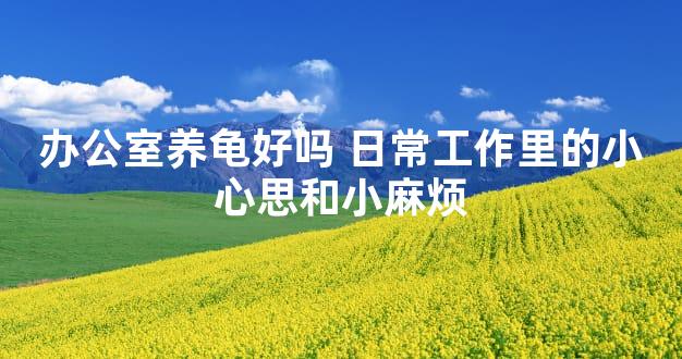 办公室养龟好吗 日常工作里的小心思和小麻烦